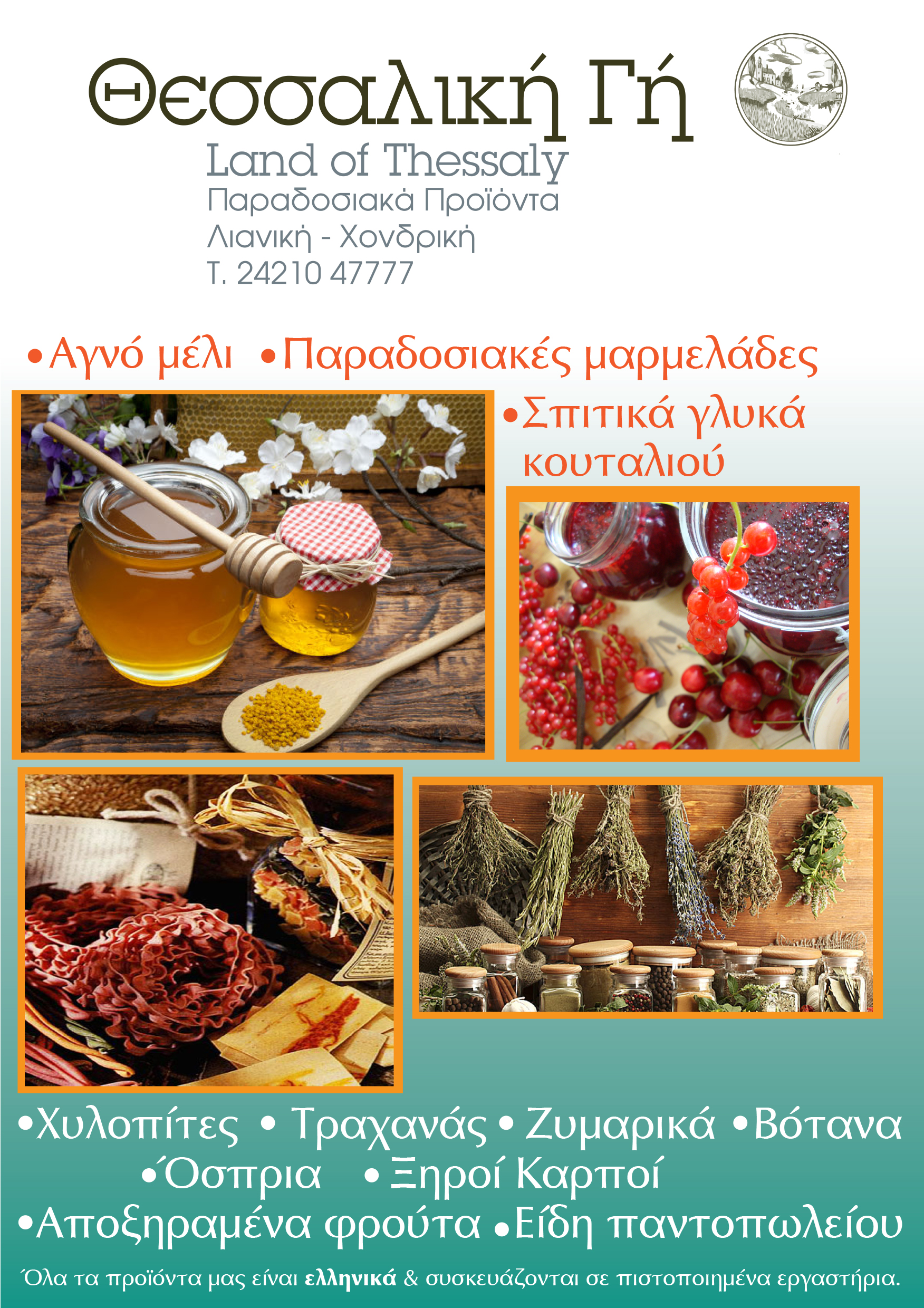 thessaliki gh fyl1.jpg